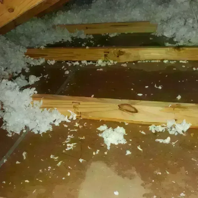 Attic Water Damage in Lafayette, OR