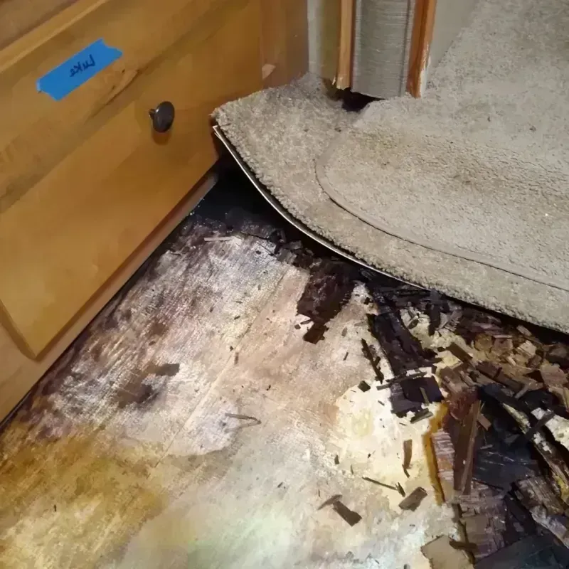 Wood Floor Water Damage in Lafayette, OR